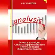 Постер книги Лекция в слайдах «Анализ эффективности использования оборотных средств»