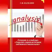 Постер книги Лекция в слайдах «Анализ привлечения заёмного капитала»