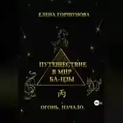 Постер книги Путешествие в мир ба-цзы. Огонь. Начало