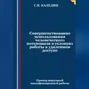 Постер книги Совершенствование использования человеческого потенциала в условиях работы в удаленном доступе
