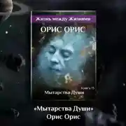 Постер книги Мытарства Души