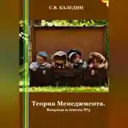 Постер книги Теория Менеджмента. Вопросы и ответы 3