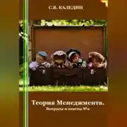 Постер книги Теория Менеджмента. Вопросы и ответы 2