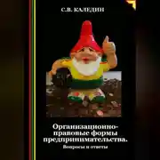 Постер книги Организационно-правовые формы предпринимательства. Вопросы и ответы