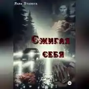 Постер книги Сжигая себя