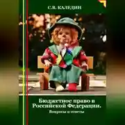Постер книги Бюджетное право в Российской Федерации. Вопросы и ответы