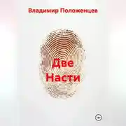 Постер книги Две Насти