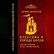 Постер книги Кудесник в городе богов