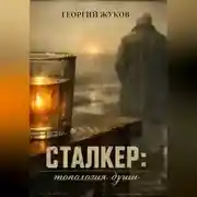 Постер книги Сталкер: Топология души