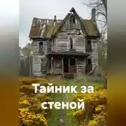 Постер книги Тайник за стеной