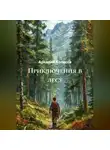 Аркадий Колесов - Приключения в лесу.