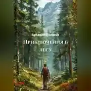 Постер книги Приключения в лесу.