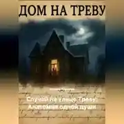 Постер книги «Случай на улице Треву: Анатомия одной души».