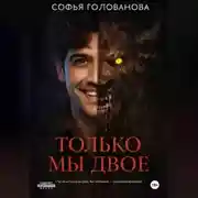 Постер книги Только мы двое