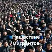 Постер книги Нашествие мигрантов