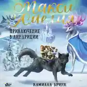 Постер книги Макси и Амелия. Приключение в Линдриции