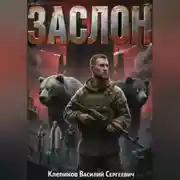 Постер книги ЗАСЛОН
