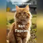 Постер книги Кот Персик