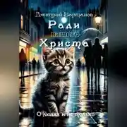 Постер книги Ради вашего Христа