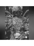 Нелли Шульман - Зима отчаяния