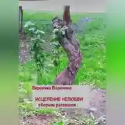 Постер книги Исцеление нелюбви. Сборник рассказов