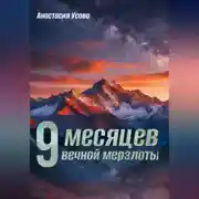 Постер книги 9 месяцев вечной мерзлоты