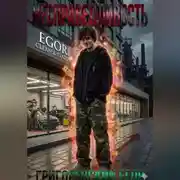 Постер книги Несправедливость