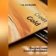 Постер книги Бюджетная классификация