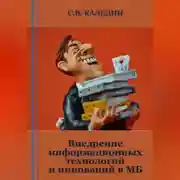 Постер книги Внедрение информационных технологий и инноваций в МБ