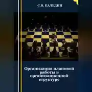 Постер книги Организация плановой работы в организационной структуре