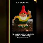 Постер книги Предпринимательская идея и ее выбор. Вопросы и ответы