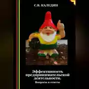 Постер книги Эффективность предпринимательской деятельности. Вопросы и ответы