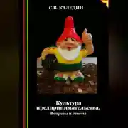 Постер книги Культура предпринимательства. Вопросы и ответы