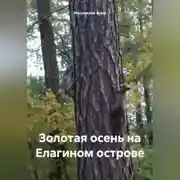 Постер книги Золотая осень на Елагином острове