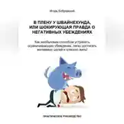 Постер книги В плену у Швайнехунда, или Шокирующая правда о негативных убеждениях. Как необычным способом устранять ограничивающие убеждения, легко достигать желаемых целей и классно жить! Практическое руководство
