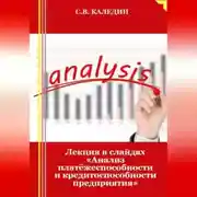 Постер книги Лекция в слайдах «Анализ платёжеспособности и кредитоспособности предприятия»