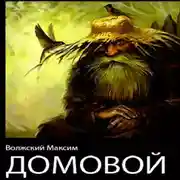 Постер книги Домовой