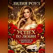 Постер книги Успех по любви и жизнь после выгорания