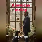 Постер книги Ключи на выбор