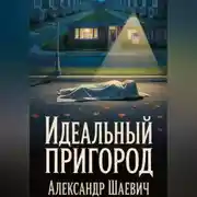 Постер книги Идеальный пригород