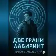 Постер книги Грани пустоты. Две грани. Лабиринт