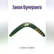Постер книги Закон бумеранга