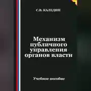 Постер книги Механизм публичного управления органов власти
