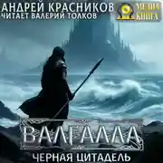 Постер книги Валгалла IV. Черная цитадель
