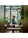 Радик Яхин - МЕТОД СНЕЖИНКИ