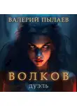Валерий Пылаев - Волков. Дуэль