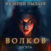 Постер книги Волков. Дуэль