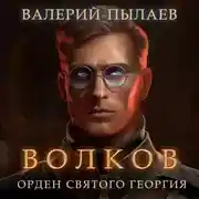 Постер книги Волков. Орден Святого Георгия