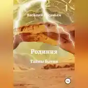 Постер книги Родиния. Тайны бытия