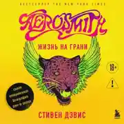 Постер книги Жизнь на грани. Aerosmith